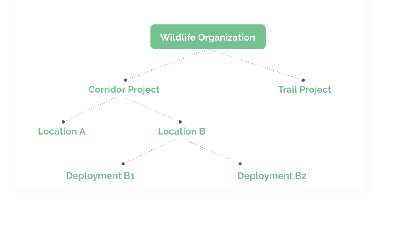 Quick Start to Wildlife Insights | Wildlife Insights